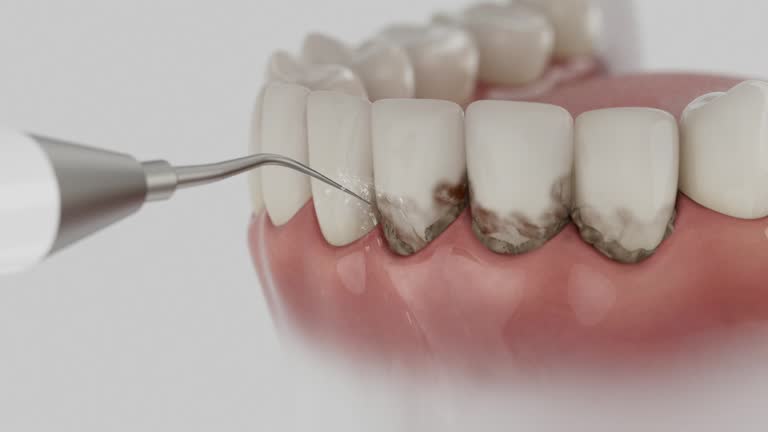 Reliable Dental contractor in Springdale, AR by Dentist Open Now